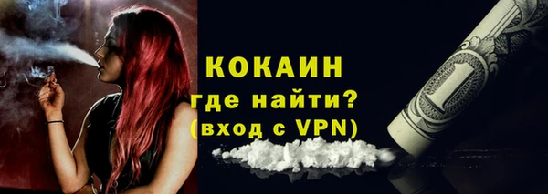 прущие грибы Мегион