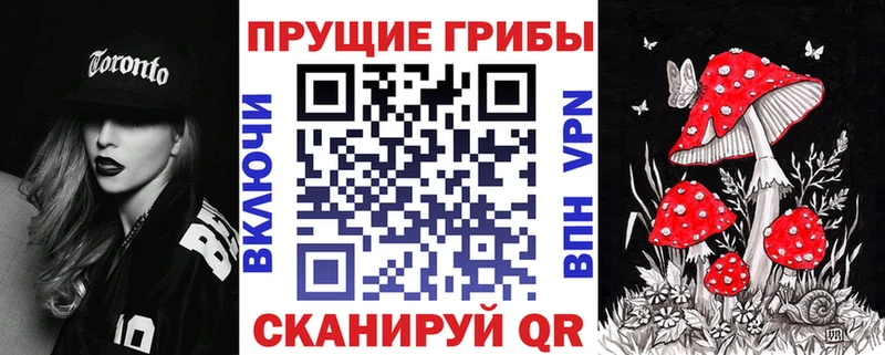 kraken онион  Северобайкальск  Псилоцибиновые грибы прущие грибы  купить  цена 