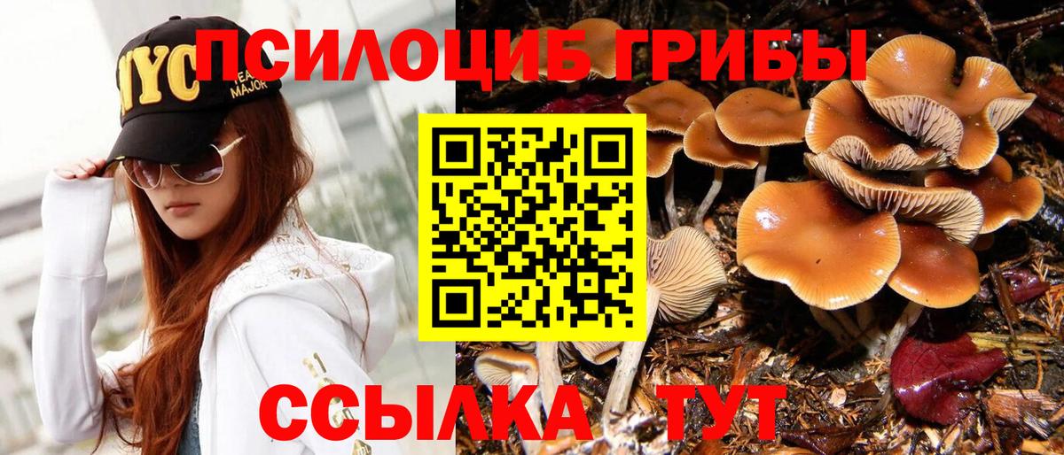 где продают   Галлюциногенные грибы MAGIC MUSHROOMS  Псилоцибиновые грибы прущие грибы  Вход с VPN  Северобайкальск 