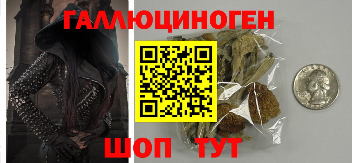 Псилоцибиновые грибы мухоморы Северобайкальск